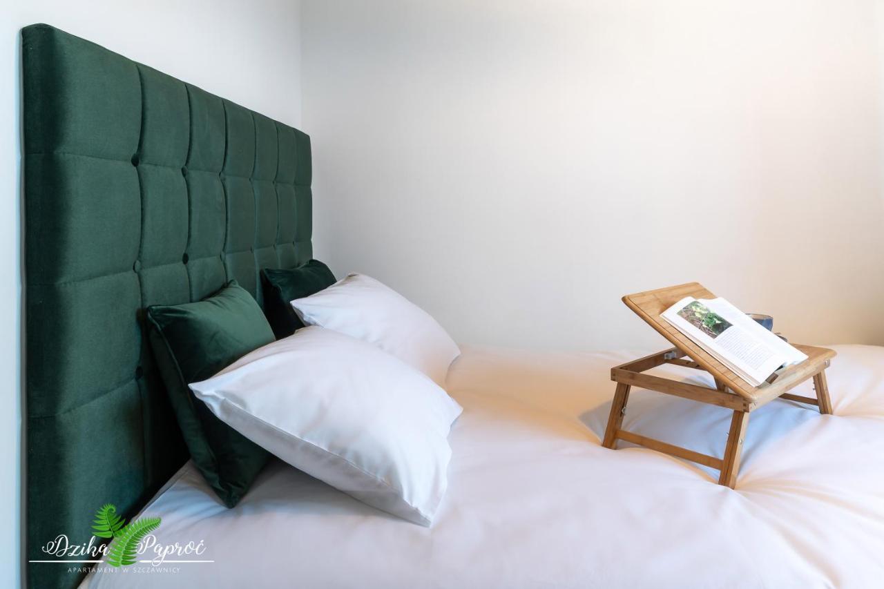 Apartament Dzika Paproc Шавница Экстерьер фото
